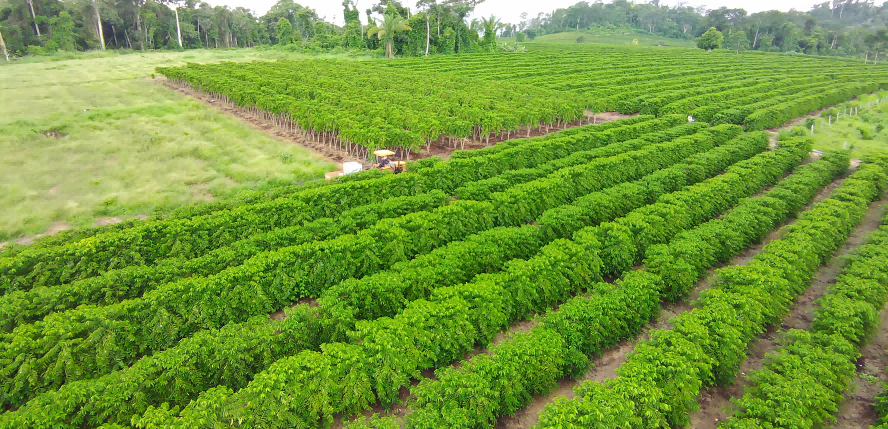 image_2025-12-03_15-55-39(1)