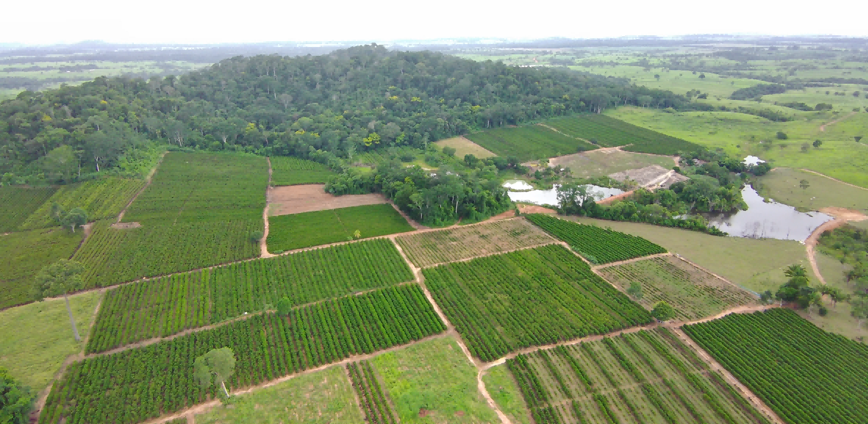 image_2025-12-03_15-53-43(1)