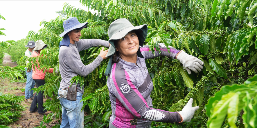 image_2025-12-03_16-02-21(1)